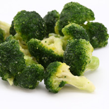 China Fresh Broccoli Fresh Vegetable Broccoli High Quality